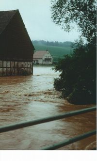 Hochwasser_1981 (23)